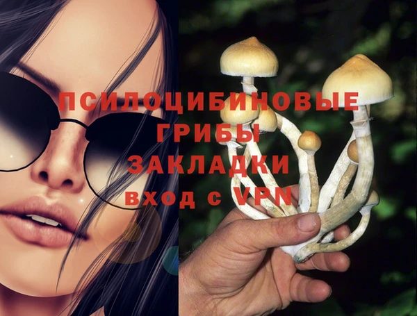 спиды Щёлкино