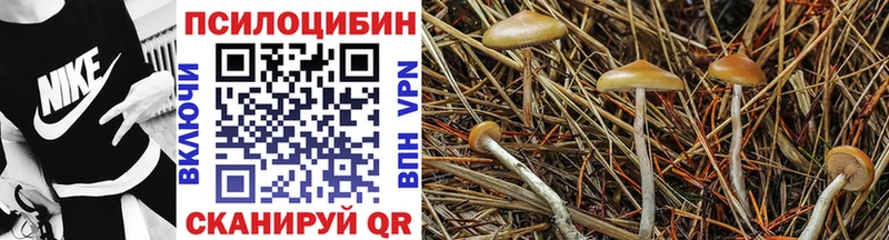Галлюциногенные грибы мицелий  Купить  Реж 